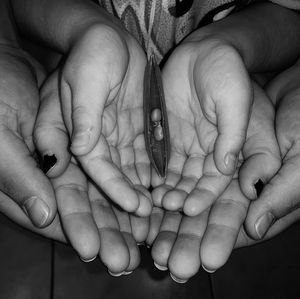 Meet your Posher, Rachel